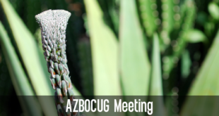 Arizona BusinessObjects User Group (AZBOCUG)